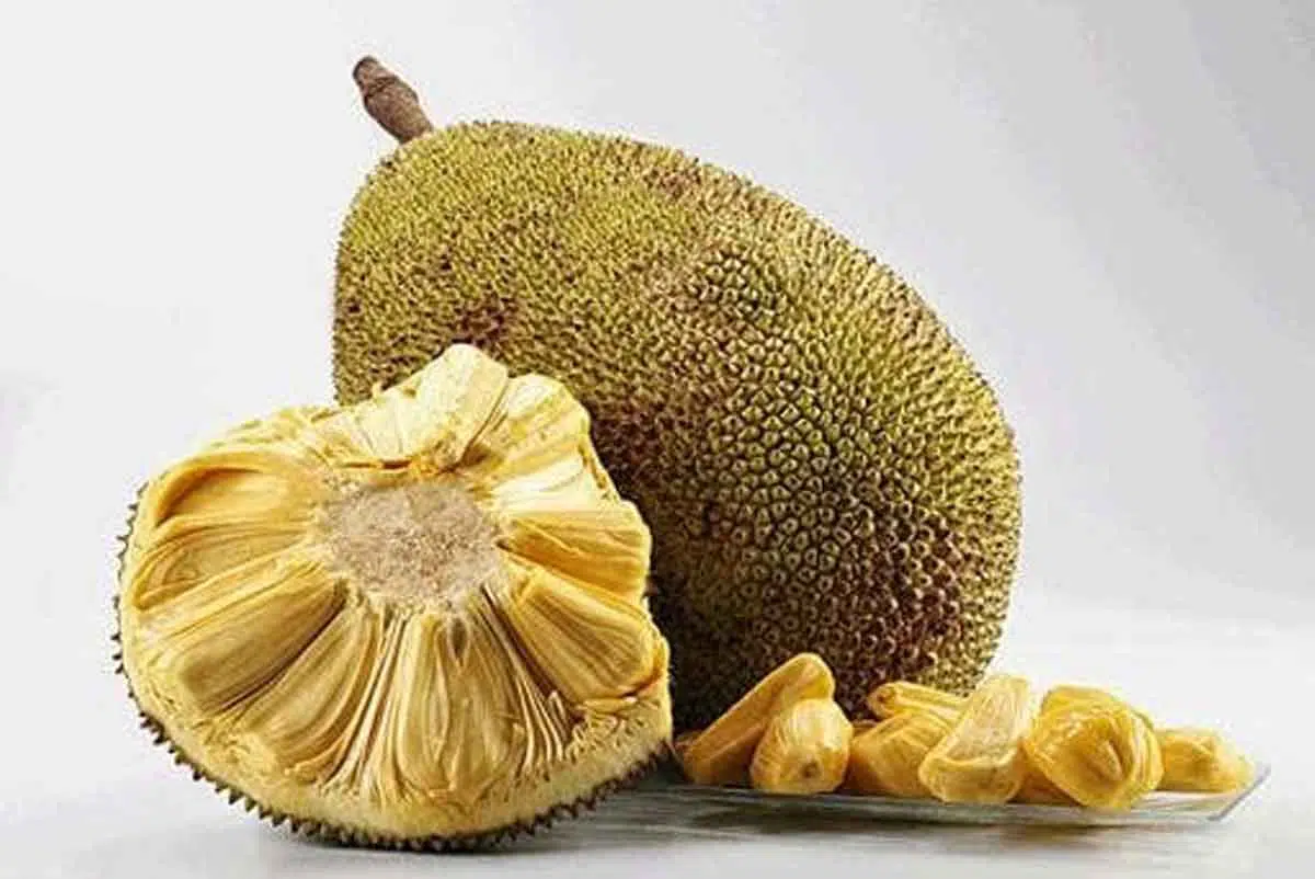 Jangan Sampai Salah, Perbedaan Buah Nangka dan Cempedak