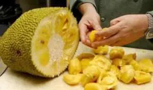 Moms, Tips Mudah Ini Bisa Hilangkan Getah Nangka di Tangan