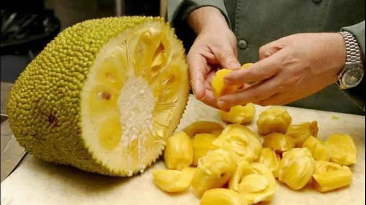 Moms, Tips Mudah Ini Bisa Hilangkan Getah Nangka di Tangan