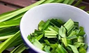 Daun Pandan, Si Hijau yang Ampuh Singkirkan Komedo Secara Alami
