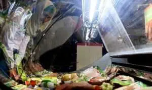 Indonesia bangun pusat halal pada 2019