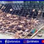 16 KK Terdampak Angin Kencang, Kerugian Capai Rp75 Juta