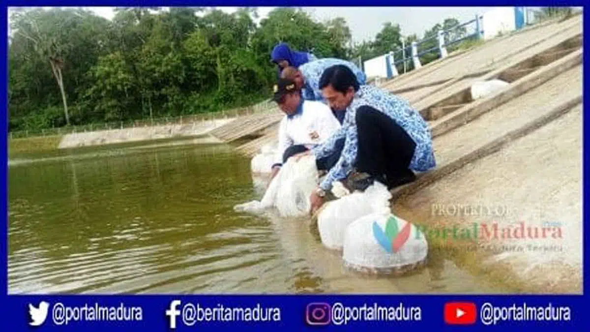 Fungsikan Embung Air Desa Aeng Merah untuk Budidaya Ikan