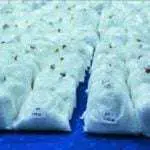 Polisi Ungkap Penyelundupan 30 Kilogram Sabu dari Malaysia