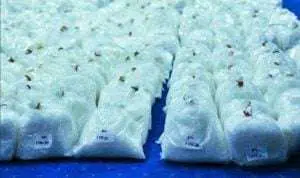 Polisi ungkap penyelundupan 30 kilogram sabu dari Malaysia