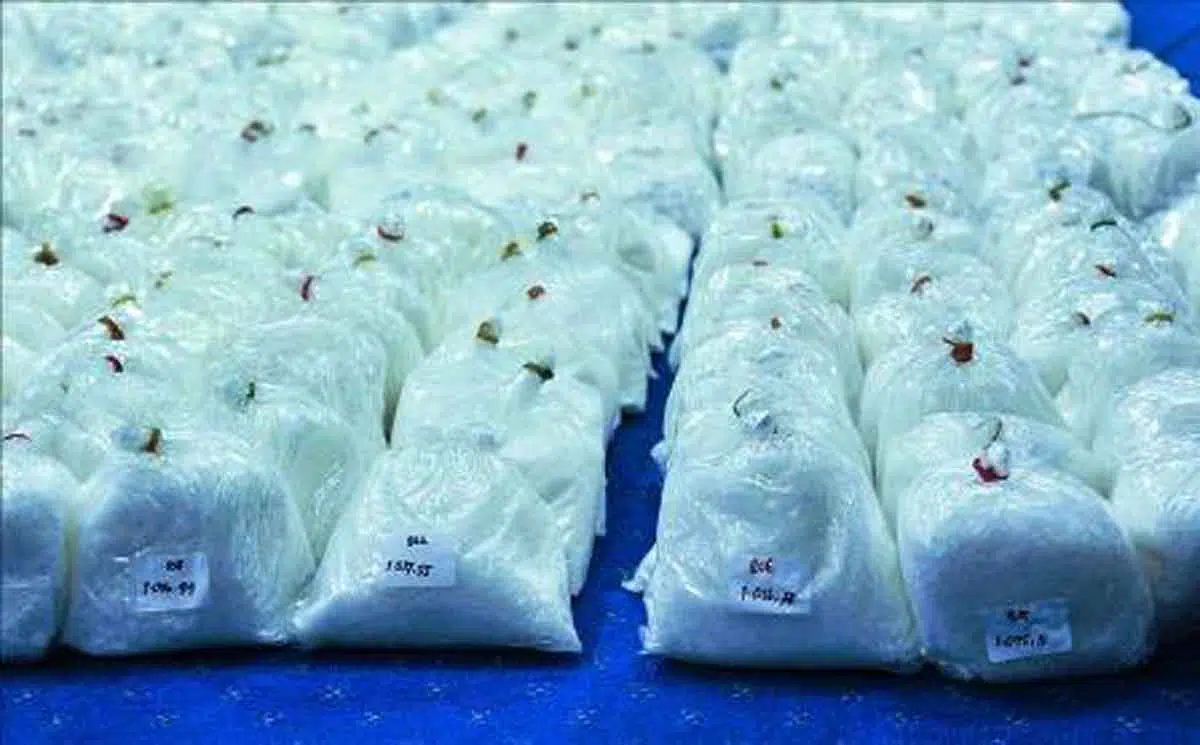 Polisi ungkap penyelundupan 30 kilogram sabu dari Malaysia