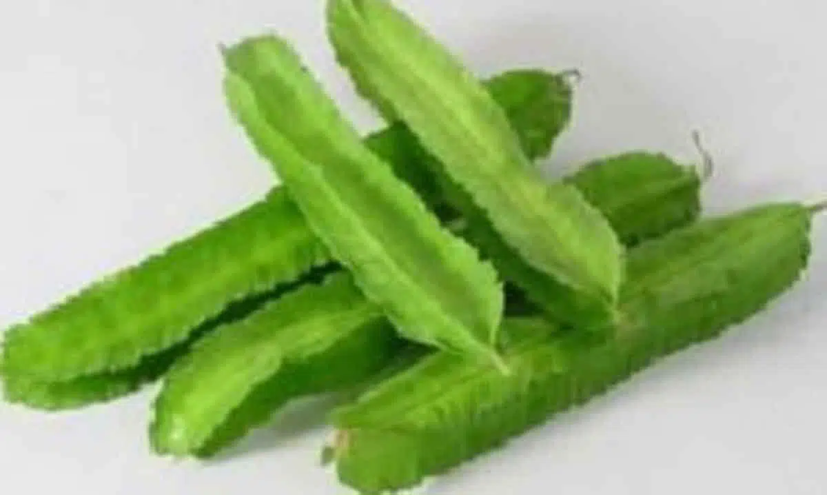 Luar Biasa, Ini 7 Manfaat Sayur Kecipir yang Perlu Anda Ketahui