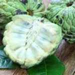 Baik untuk Ibu Hamil dan Anak-anak, Ini 7 Manfaat Buah Srikaya