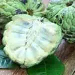 Baik untuk Ibu Hamil dan Anak-anak, Ini 7 Manfaat Buah Srikaya