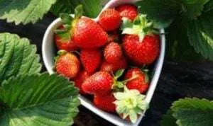Tak Hanya Mawar, Ini 7 Buah dan Sayur yang Lambangkan Cinta