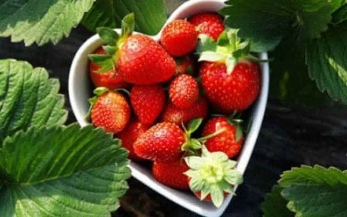 Tak Hanya Mawar, Ini 7 Buah dan Sayur yang Lambangkan Cinta