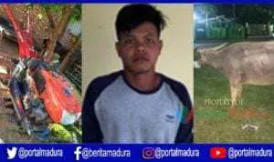 Maling Dua Ekor Kerbau di Arjasa Terungkap Setelah Ditukar Hand Traktor