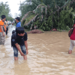 Ratusan Hektar Lahan Pertanian Terendam Banjir