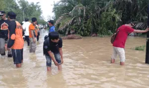 Ratusan Hektar Lahan Pertanian Terendam Banjir