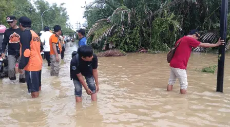 Ratusan Hektar Lahan Pertanian Terendam Banjir