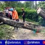 Waspada! Pamekasan Berpotensi Bencana
