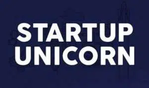5 Fakta Tentang Startup Unicorn yang Ramai Setelah Debat Kedua Capres