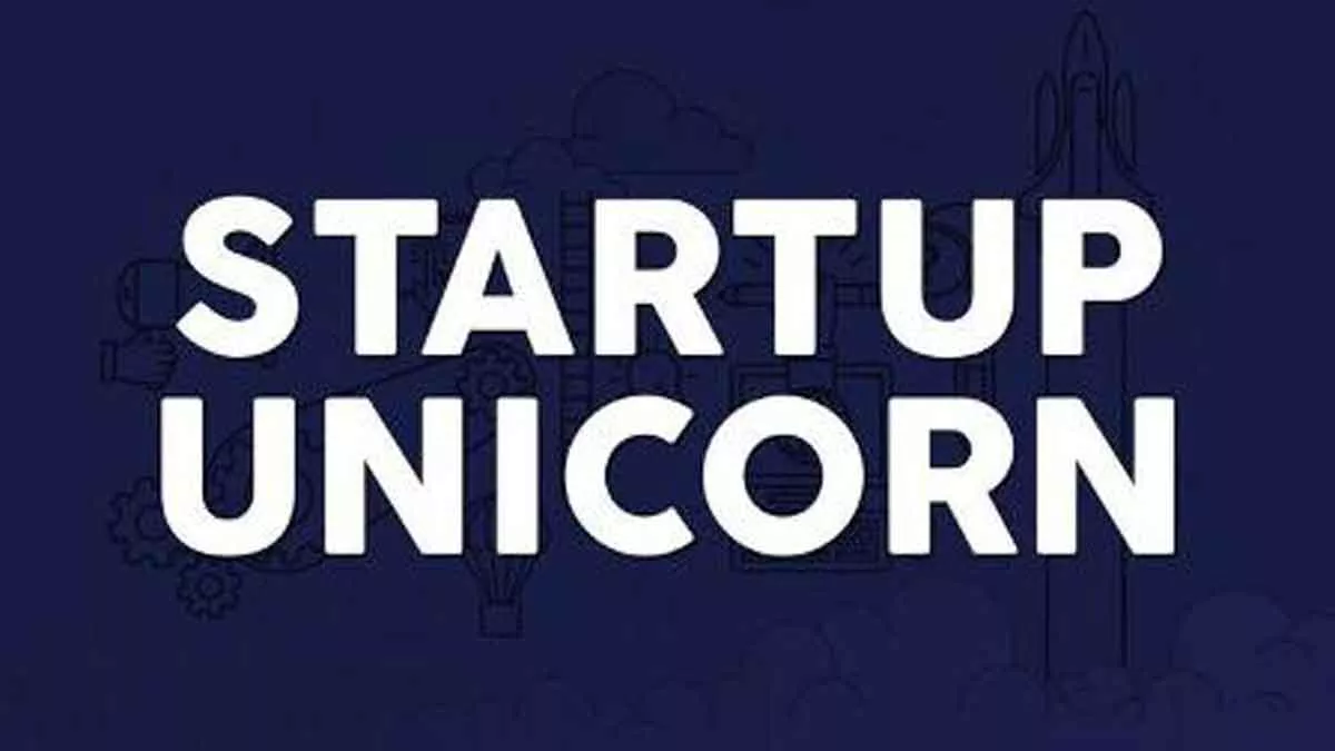 5 Fakta Tentang Startup Unicorn yang Ramai Setelah Debat Kedua Capres