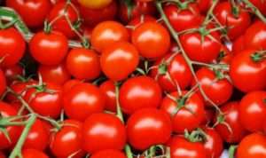 Tips Menyimpan Buah Tomat agar Awet dan Tidak Membusuk