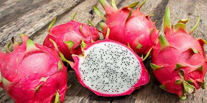 Kenali, 3 Khasiat Buah Naga untuk Kulit yang Kaya Antioksidan