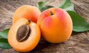 3 Manfaat Tersembunyi Buah Aprikot Bagi Perawatan Kulit
