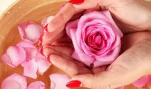 Ladies, Ini 5 Manfaat Air Mawar Bagi Kecantikan Anda!