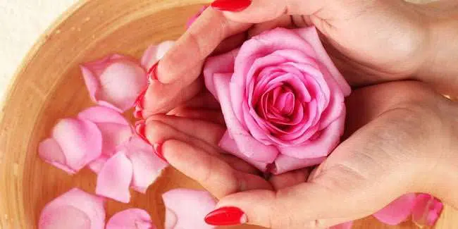 Ladies, Ini 5 Manfaat Air Mawar Bagi Kecantikan Anda!