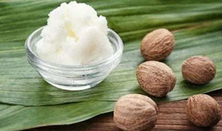 6 Khasiat Tersembunyi Shea Butter untuk Kecantikan Kulit dan Rambut