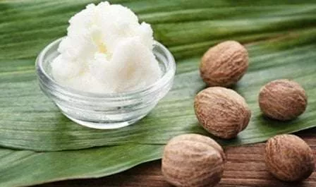 6 Khasiat Tersembunyi Shea Butter untuk Kecantikan Kulit dan Rambut