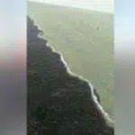 Heboh, Fenomena Air Laut Suramadu Bagai Terpisah