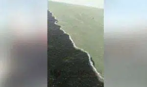 Heboh, Fenomena Air Laut Suramadu Bagai Terpisah