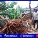 BPBD Sumenep : 25 Rumah Tercatat Alami Kerusakan Akibat Angin Kencang