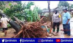 BPBD Sumenep 25 Rumah Tercatat Alami Kerusakan Akibat Angin Kencang