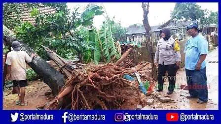 BPBD Sumenep 25 Rumah Tercatat Alami Kerusakan Akibat Angin Kencang
