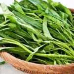 Konsumsi Kangkung Bisa Bikin Ngantuk, Benarkah? Ini Jawaban Peneliti