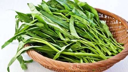 Konsumsi Kangkung Bisa Bikin Ngantuk, Benarkah Ini Jawaban Peneliti