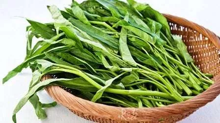 Konsumsi Kangkung Bisa Bikin Ngantuk, Benarkah? Ini Jawaban Peneliti