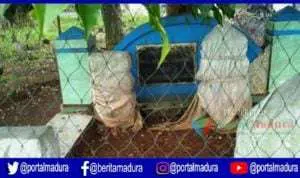 Keturunan Prabu Brawijaya V yang Gemar Berkelana dan Bertapa