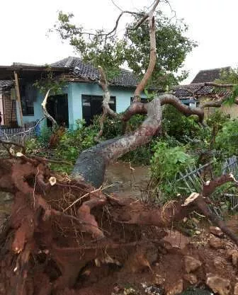 Foto-Penampakan Rumah Warga Sumenep Dihantam Puting Beliung - Portalmadura.com FOTO-Penampakan Rumah Warga Sumenep Dihantam Puting Beliung