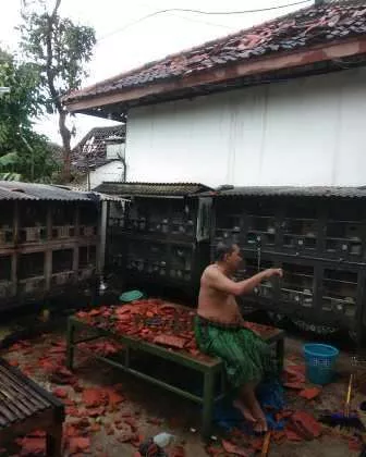 Foto-Penampakan Rumah Warga Sumenep Dihantam Puting Beliung - Portalmadura.com FOTO-Penampakan Rumah Warga Sumenep Dihantam Puting Beliung