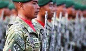 TNI kerahkan 600 personel tambahan untuk bangun jembatan Papua