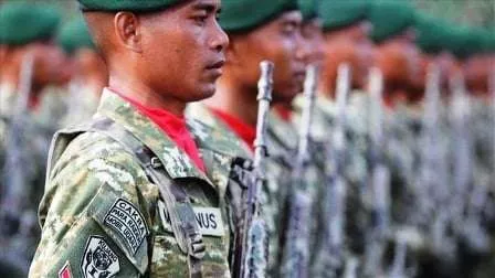 TNI Kerahkan 600 Personel Tambahan untuk Bangun Jembatan Papua