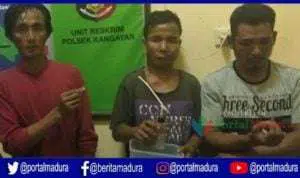 Polisi Sumenep Ringkus Tiga Warga Kangayan, Satu Tersangka Dalam Pengejaran