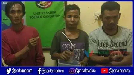 Polisi Sumenep Ringkus Tiga Warga Kangayan, Satu Tersangka Dalam Pengejaran