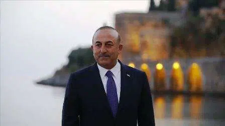 Turki desak aksi lawan serangan Islamofobia