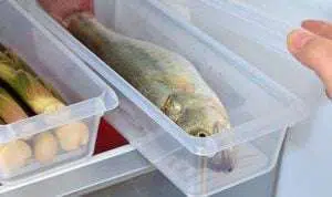 Tips Menyimpan Ikan Segar di Lemari Es Agar Tahan Lama