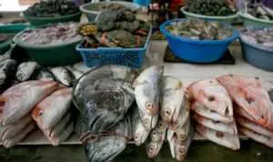 Kenali, 4 Perbedaan Antara Ikan Laut dan Ikan Air Tawar