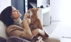 4 Manfaat Pelihara Kucing yang Belum Anda Ketahui