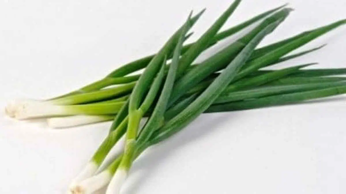 3 Manfaat Rutin Konsumsi Daun Bawang Bagi Kesehatan