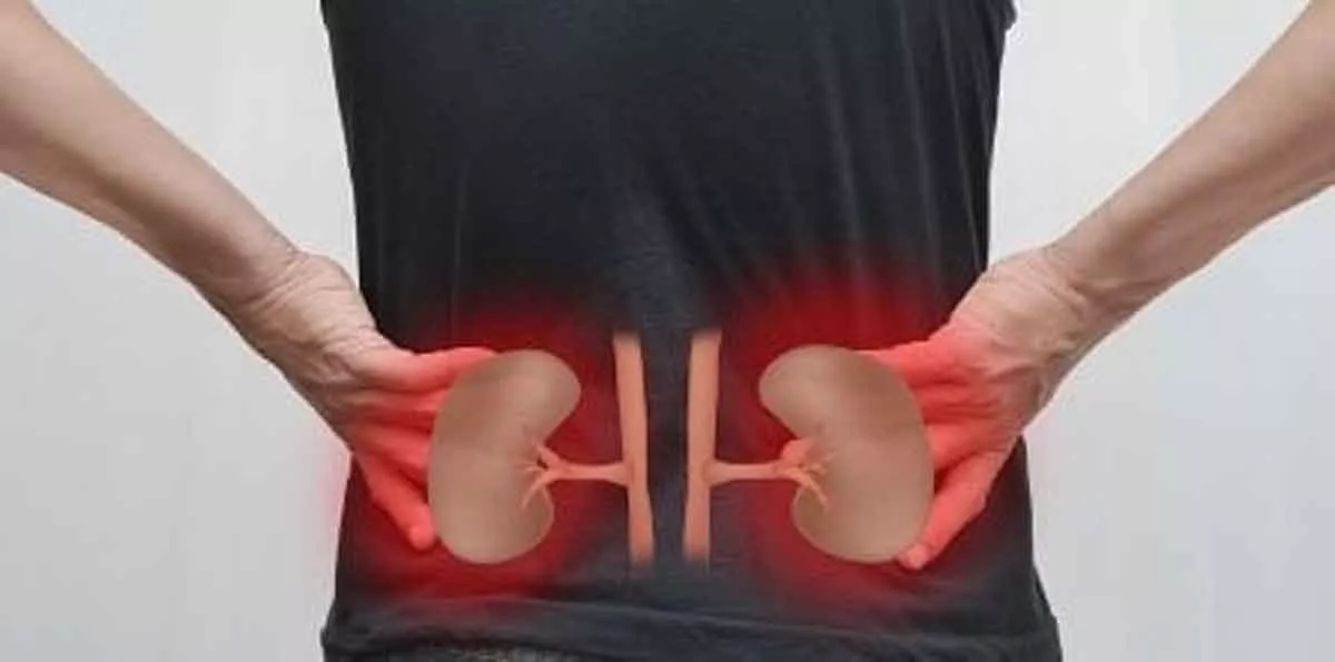 7 Kebiasaan Buruk yang Bisa Rusak Ginjal